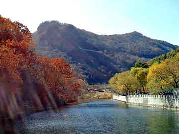 新澳天天开奖资料大全旅游团，确山关键词优化